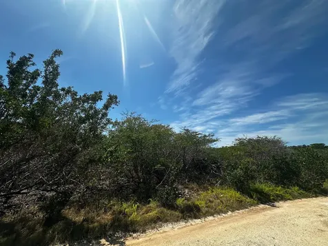 Vicinity Of Clarence Town Long Island BS