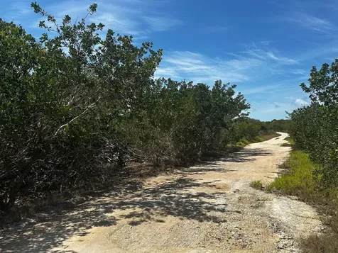 Vicinity Of Clarence Town Long Island BS