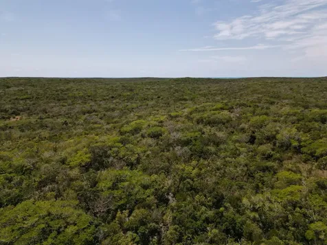 Vicinity Of Clarence Town Long Island BS