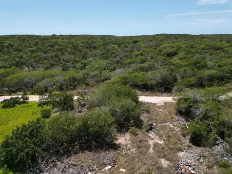 Vicinity Of Clarence Town Long Island BS