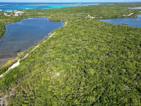 Vicinity Of Clarence Town Long Island BS