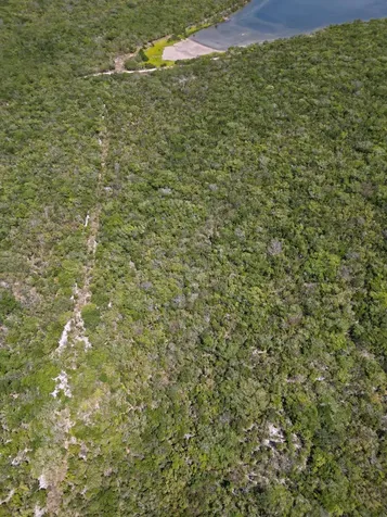 Vicinity Of Clarence Town Long Island BS