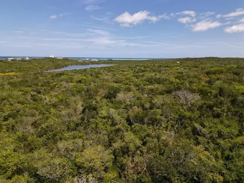 Vicinity Of Clarence Town Long Island BS