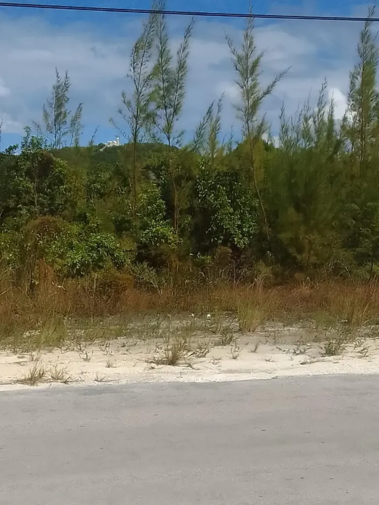 50 Acres Cat Island Cat Island BS