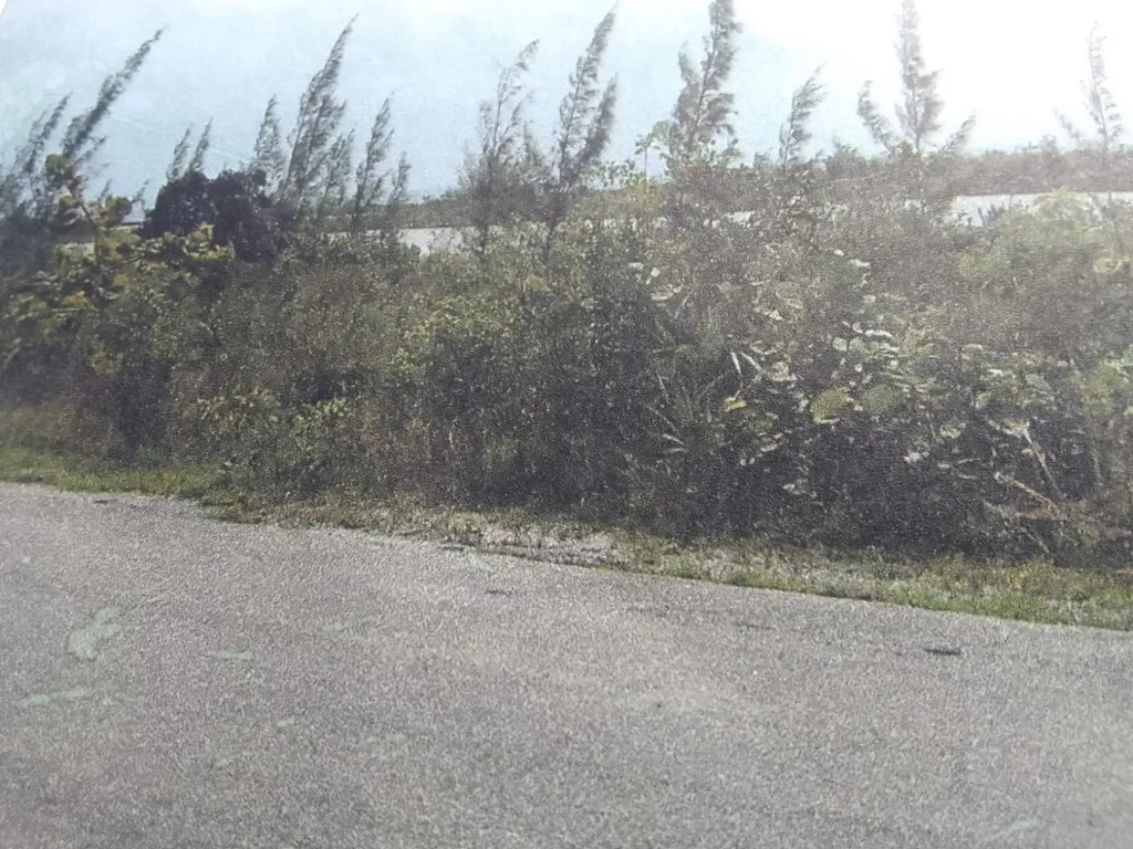 50 Acres Cat Island Cat Island BS