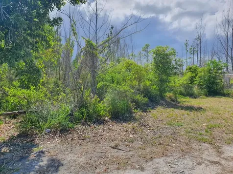 10 Acres Fresh Creek Andros BS