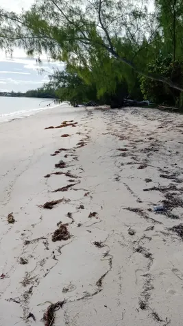 Small Hope Bay Andros BS