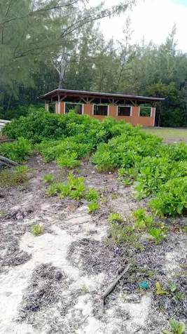 Small Hope Bay Andros BS