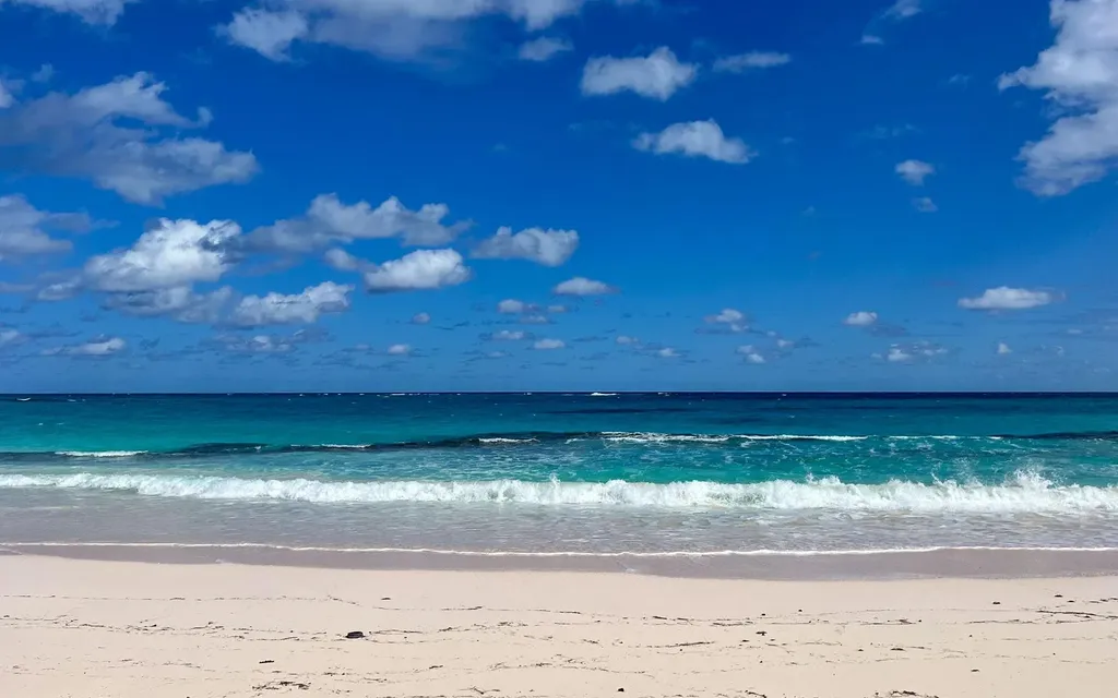 The Island Beach Club Sub Eleuthera BS