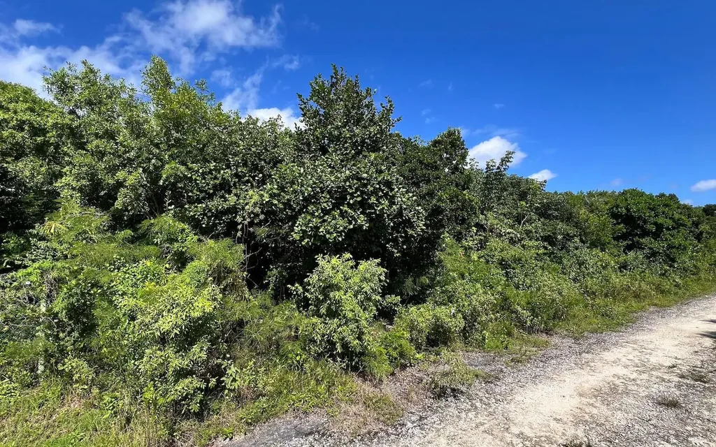 The Island Beach Club Sub Eleuthera BS
