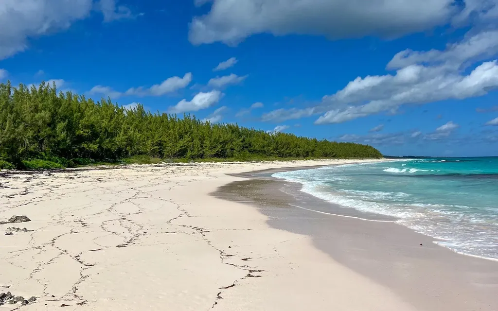 The Island Beach Club Sub Eleuthera BS