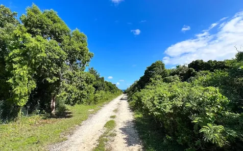 The Island Beach Club Sub Eleuthera BS