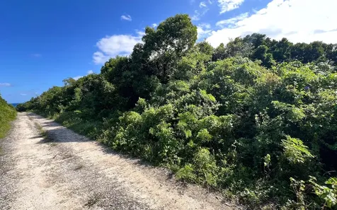 The Island Beach Club Sub Eleuthera BS