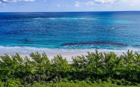 The Island Beach Club Sub Eleuthera BS