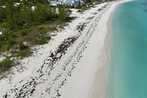 Ocean Boulevard 91 Abaco BS