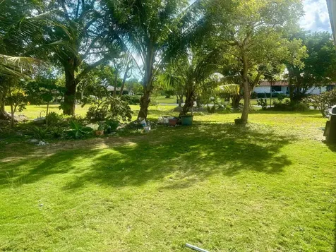 Confederates Walk Grand Bahama Freeport BS