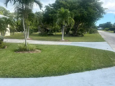 Confederates Walk Grand Bahama Freeport BS