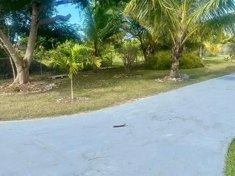 Confederates Walk Grand Bahama Freeport BS