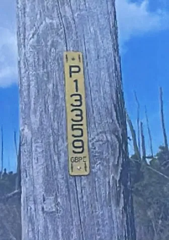 Grand Bahama Highway Grand Bahama Freeport BS