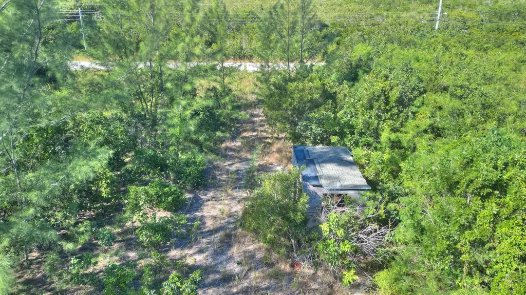 Lot 9 Yellow Wood Abaco Abaco BS