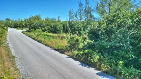 Lot 9 Yellow Wood Abaco Abaco BS