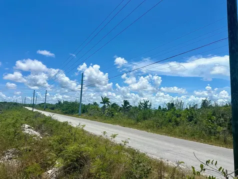 Bustic Bight Abaco BS