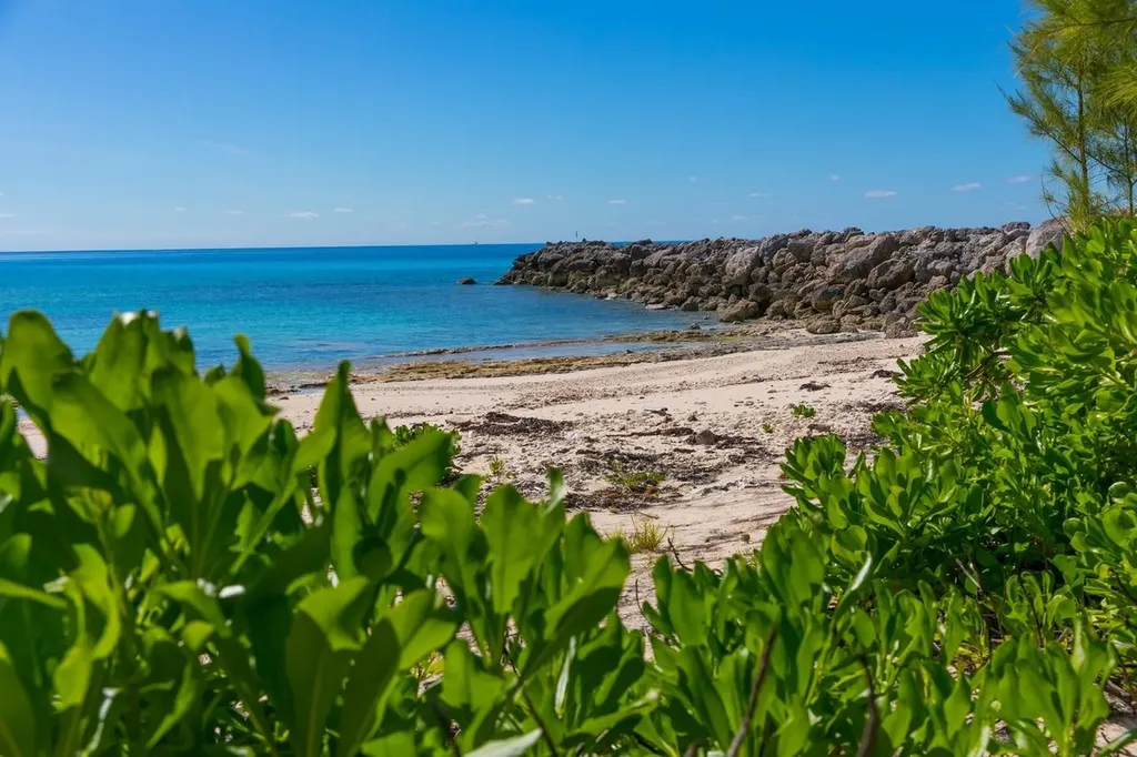 1a & 1aa, Princess Isle Grand Bahama Freeport BS