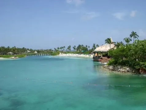 The Reef At Atlantis New Providence Paradise Island BS