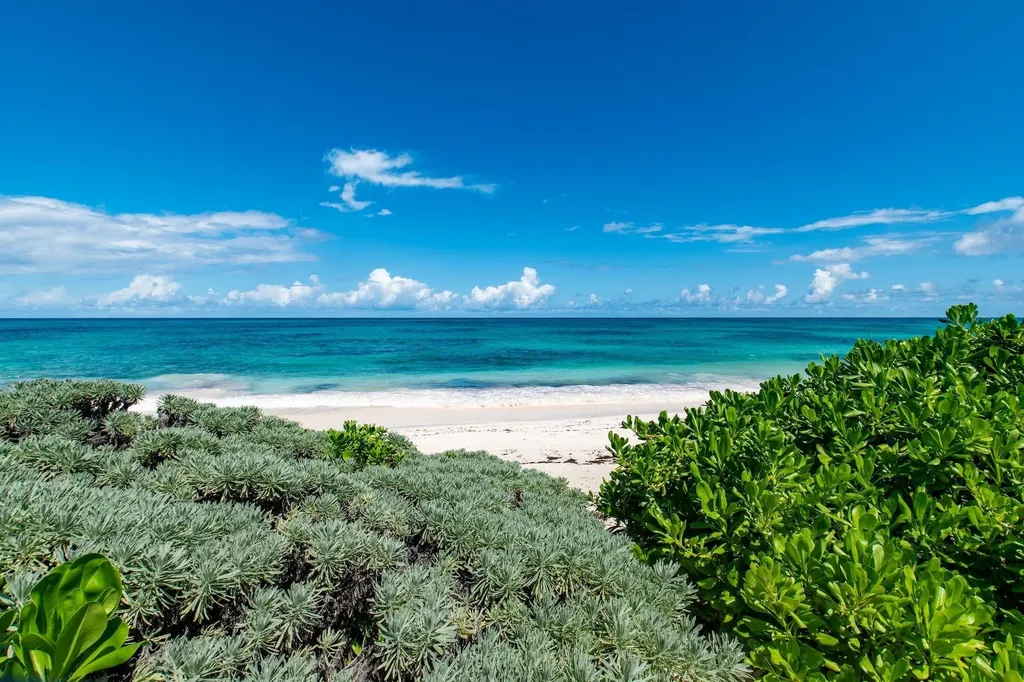 Holiday House Eleuthera BS