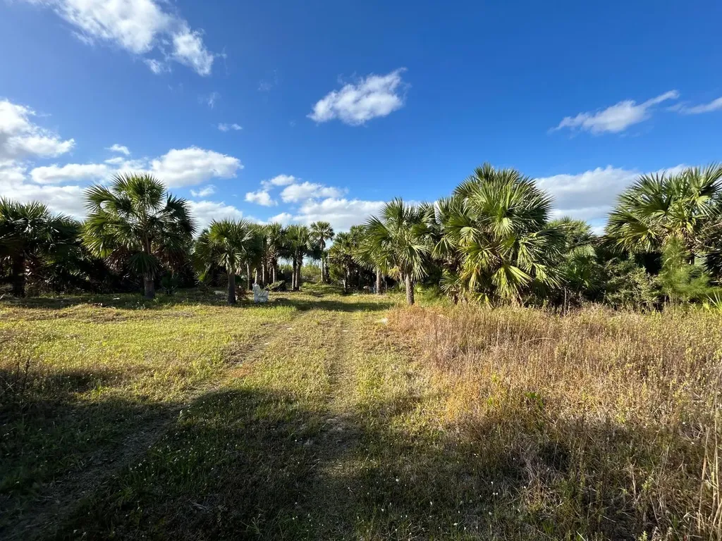 10 Acres Grand Bahama Grand Bahama Freeport BS