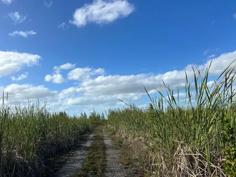 10 Acres Grand Bahama Grand Bahama Freeport BS