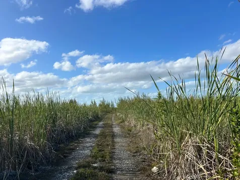 10 Acres Grand Bahama Grand Bahama Freeport BS