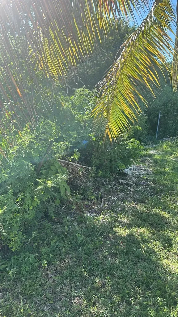 Hampshire Street 16 Grand Bahama Freeport BS