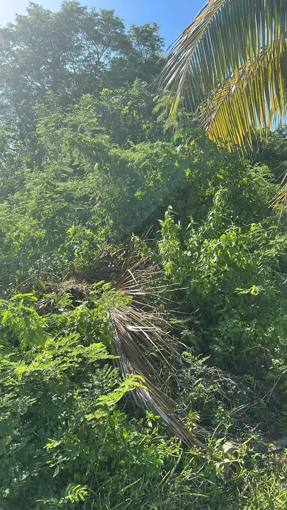 Hampshire Street 16 Grand Bahama Freeport BS