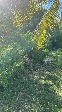 Hampshire Street 16 Grand Bahama Freeport BS