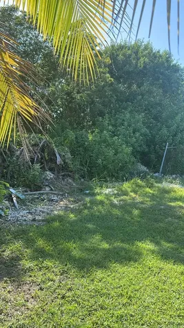 Hampshire Street 16 Grand Bahama Freeport BS