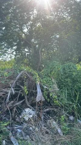 Hampshire Street 16 Grand Bahama Freeport BS