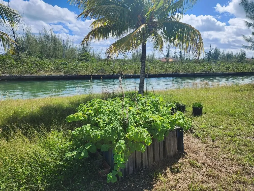 Grand Bahama Sf Lot Grand Bahama Freeport BS