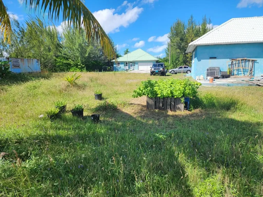 Grand Bahama Sf Lot Grand Bahama Freeport BS