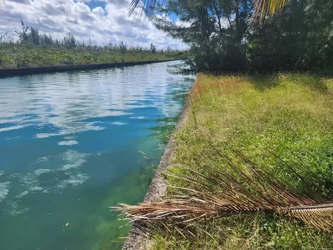 Grand Bahama Sf Lot Grand Bahama Freeport BS