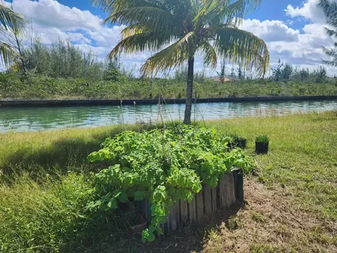 Grand Bahama Sf Lot Grand Bahama Freeport BS