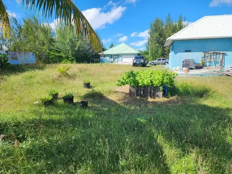 Grand Bahama Sf Lot Grand Bahama Freeport BS