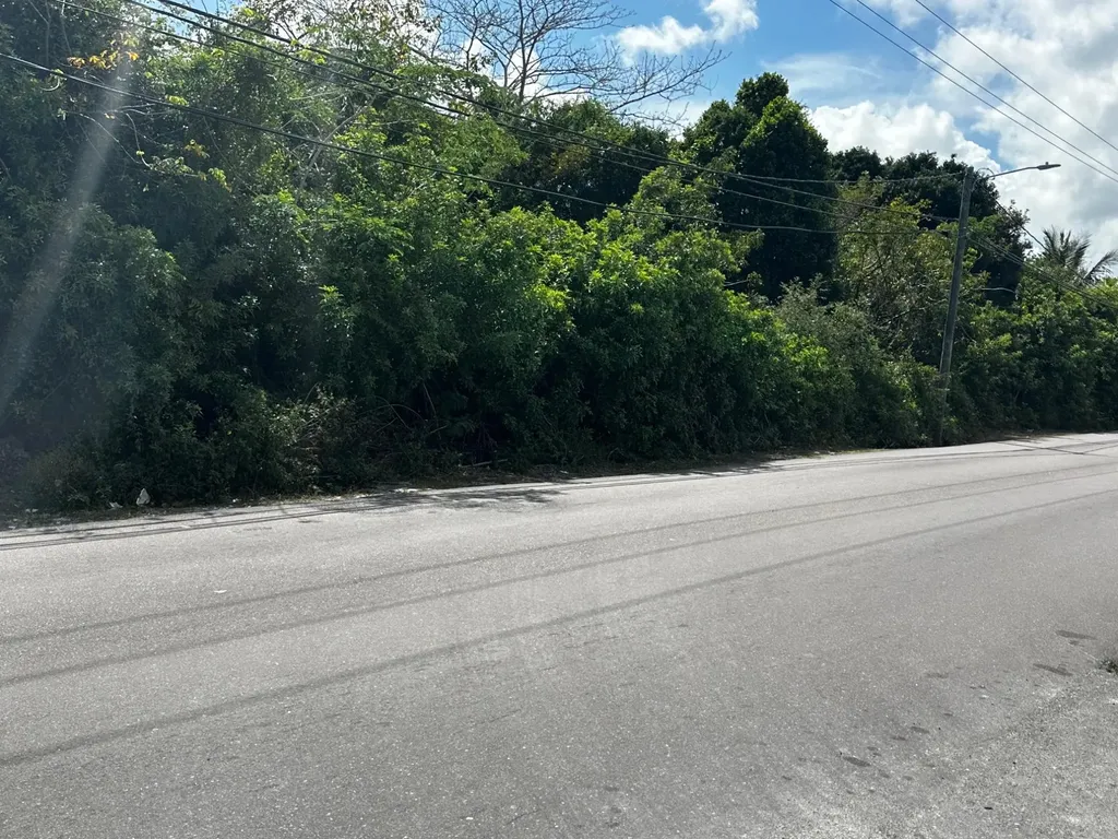 Faith Avenue Commercial Lot #3 New Providence Paradise Island BS