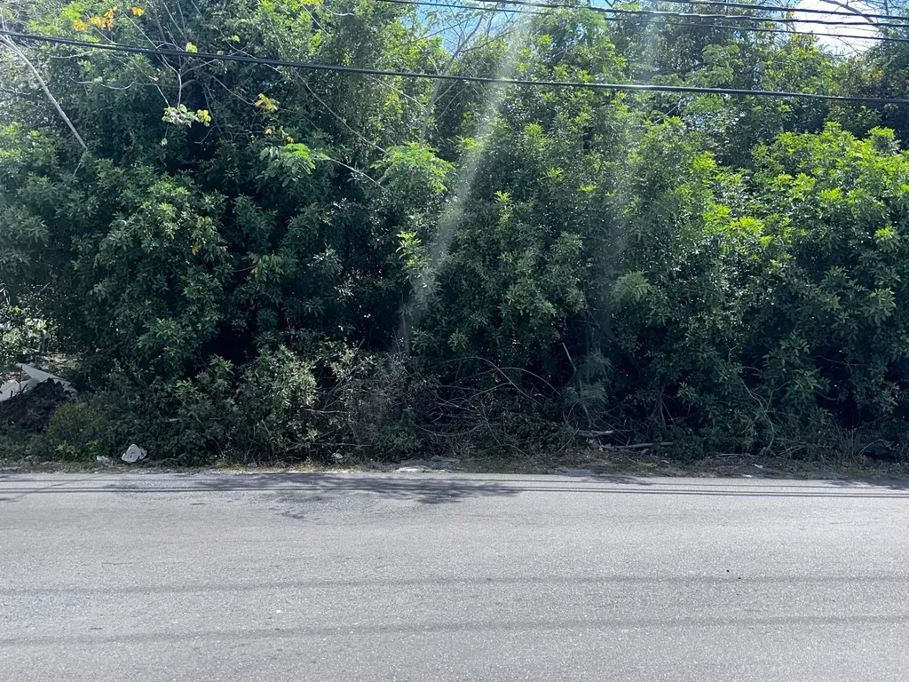 Faith Avenue Commercial Lot #3 New Providence Paradise Island BS