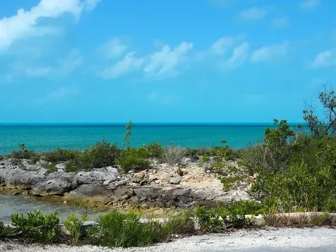 28.45acres Doctor's Creek Long Island BS