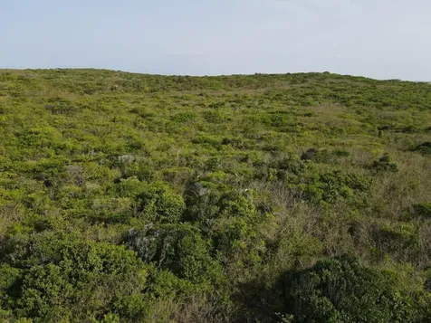 28.45acres Doctor's Creek Long Island BS