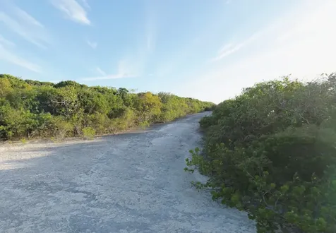 Stella Maris Long Island BS