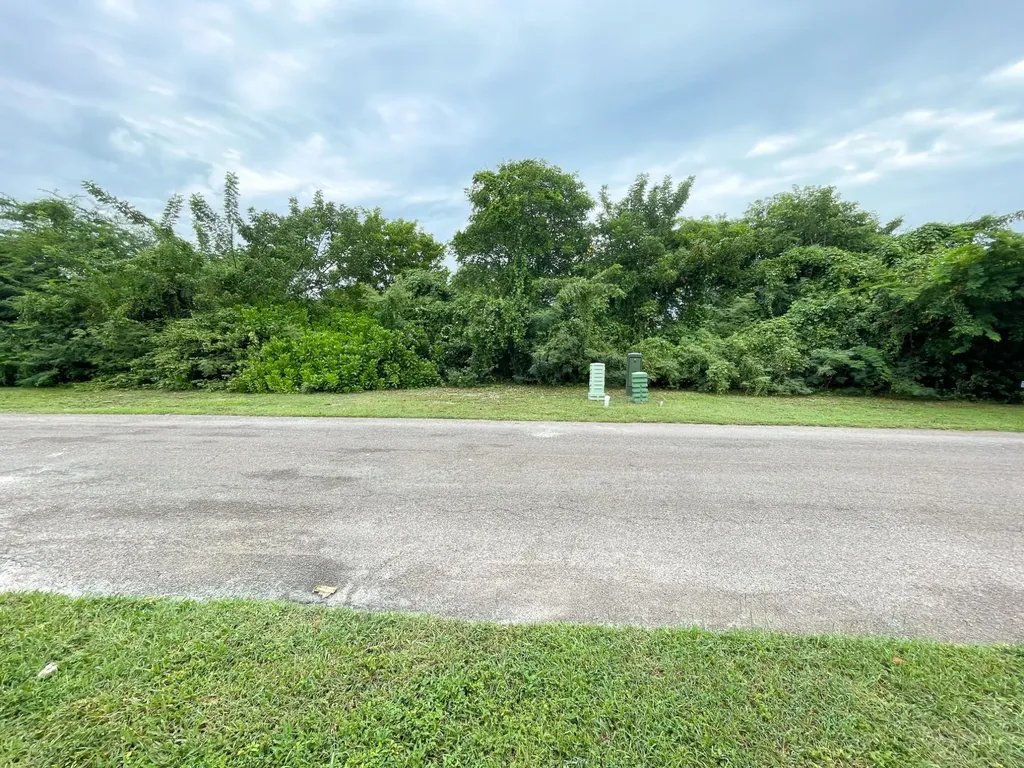 Palm Cay Lot New Providence Paradise Island BS