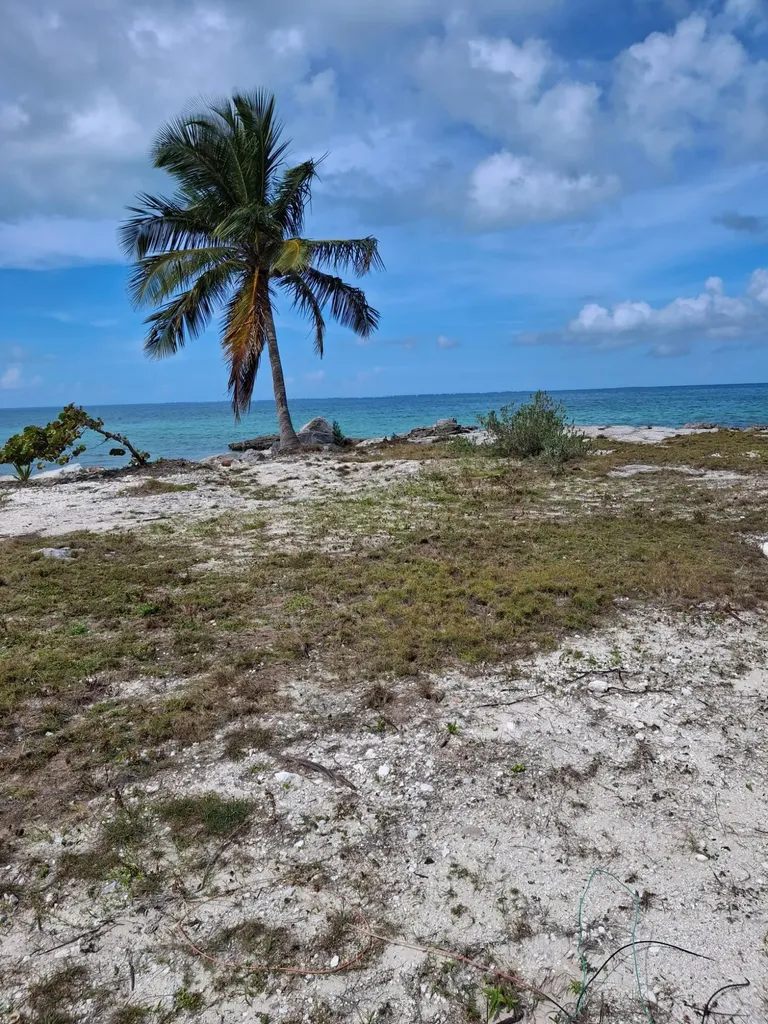 Pelican Shores/duck Pond Abaco BS