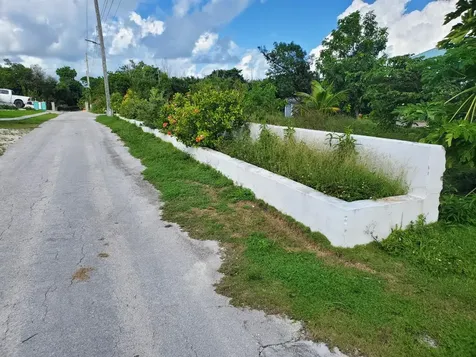 Pelican Shores/duck Pond Abaco BS